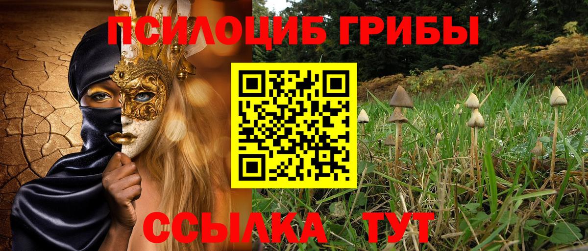 Галлюциногенные грибы Psilocybine cubensis Артём