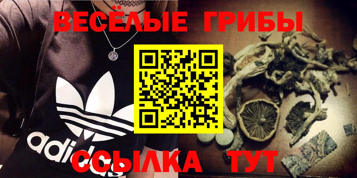 Псилоцибиновые грибы мухоморы  Вход с VPN  Артём 